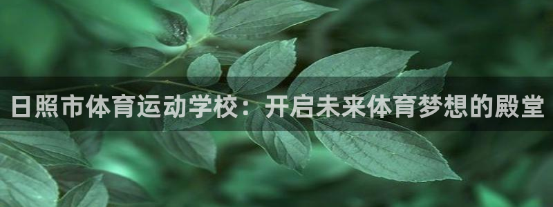 vsport体育官方正版app科技:日照市体育运动学校:开启